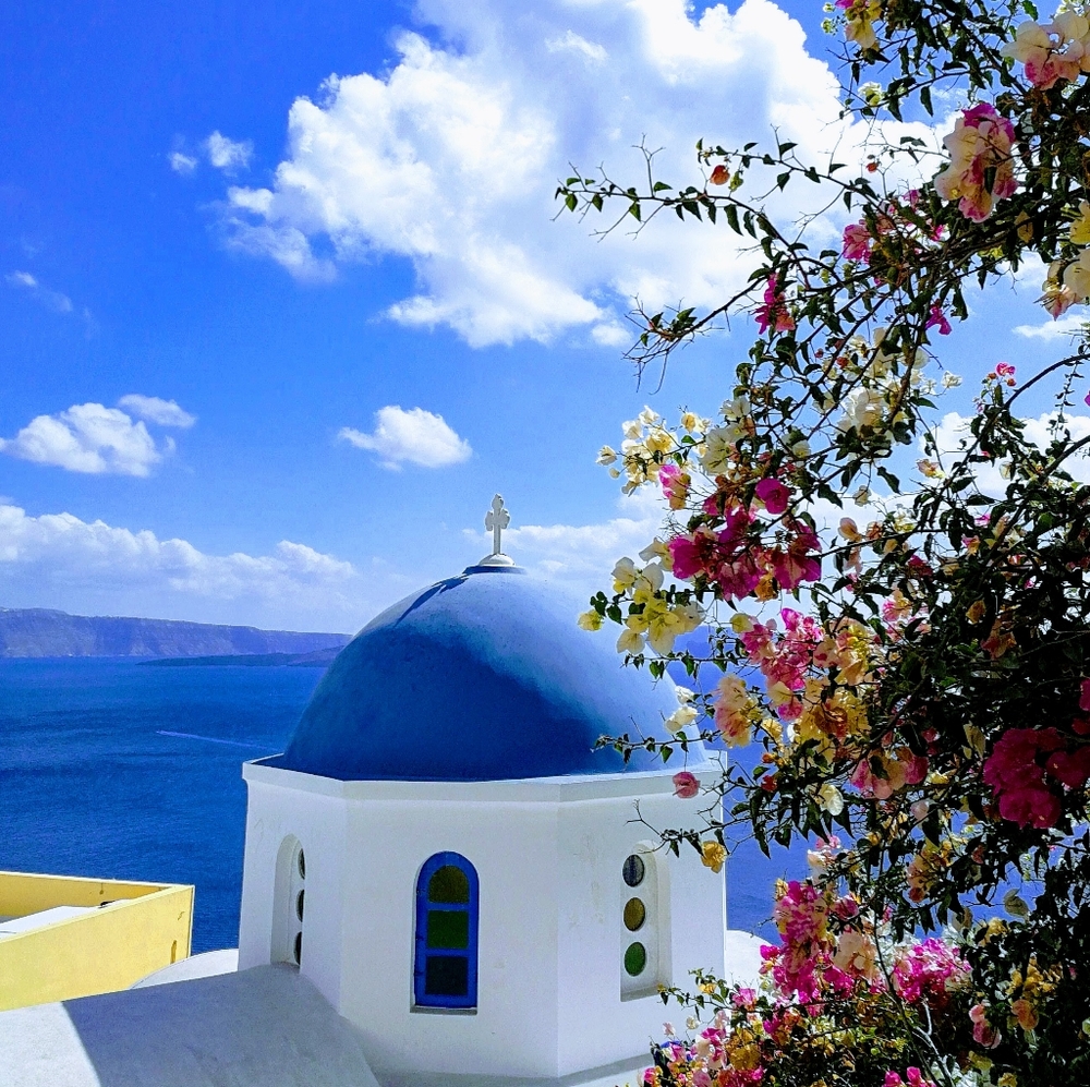 Meet your Posher, Qingqing